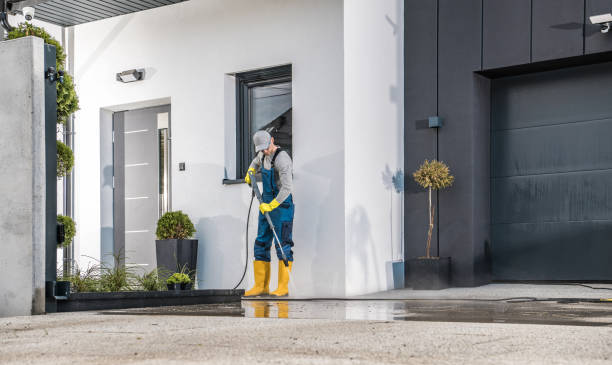 Best Boat and Dock Cleaning  in Lyons, WI